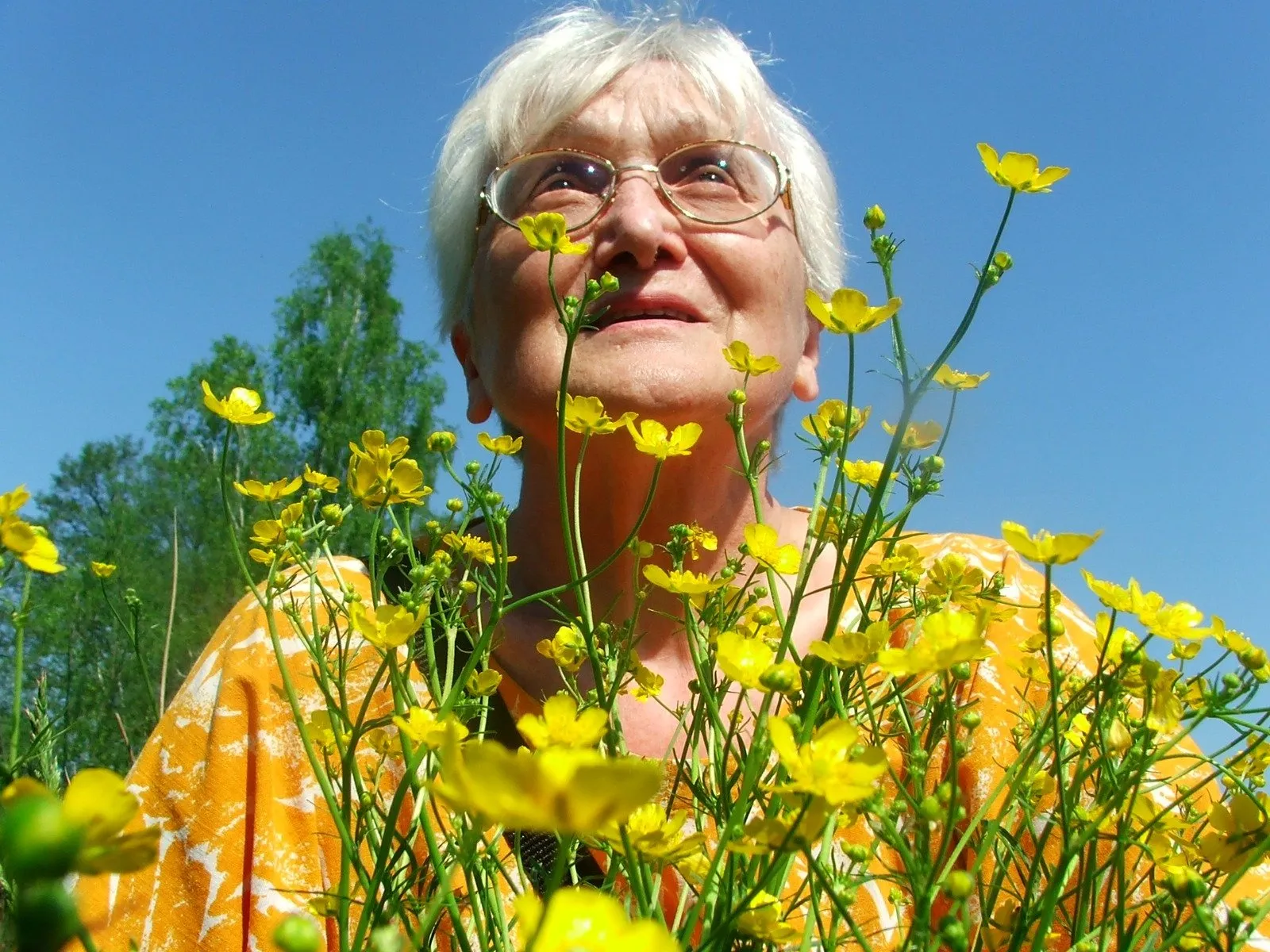 Mujer mayor disfrutando de las flores amarillas en primavera